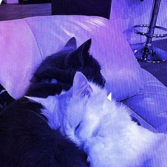 i am in love with the most beautiful woman ever