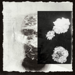 Human Disease Network présente ATOMK7 - 21 Mars 2026