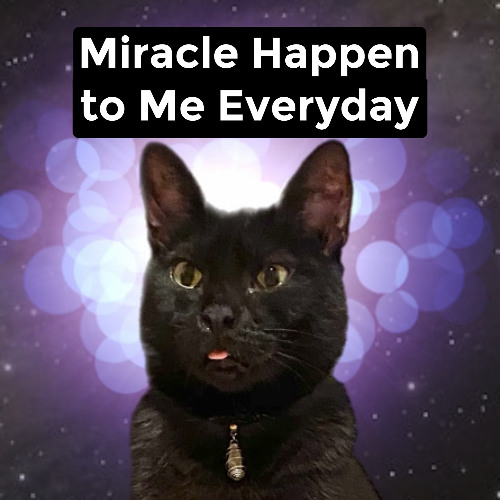 Miracle Happen to Me Everyday