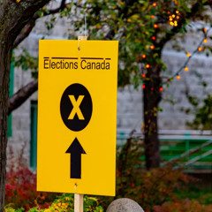 Four actions to support a sustainable democracy