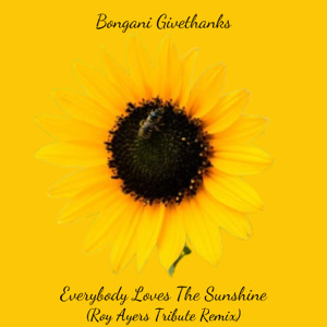 Bongani Givethanks - Everybody Loves The Sunshine (Roy Ayers Tribute Remix)