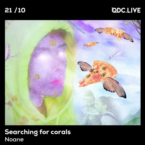 Searching for corals W/Noane Soundcloud podcast image for