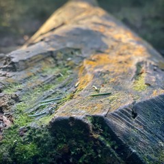 Roberto Rodriguez - Ambient Mix May 21