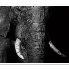 Live Dj Set vol3 / at Les MAZETTE Club in Paris / AFRO HOUSE