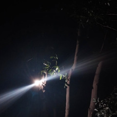 CARTA A MI HIJA(og roku)