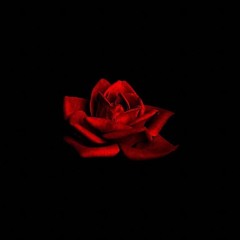 forget me not (slowed)