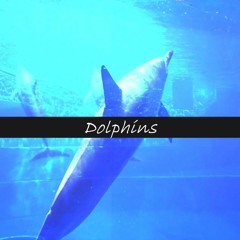[#BOFET]Dolphins - 長沼浩太(フライパンでやりまーす)