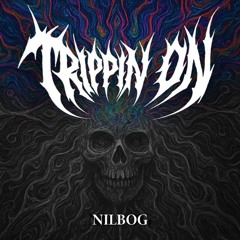 NILBOG TRACKS