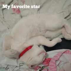 My favorite star