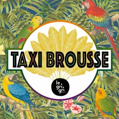 Patrice Rivet - Taxi Brousse #4
