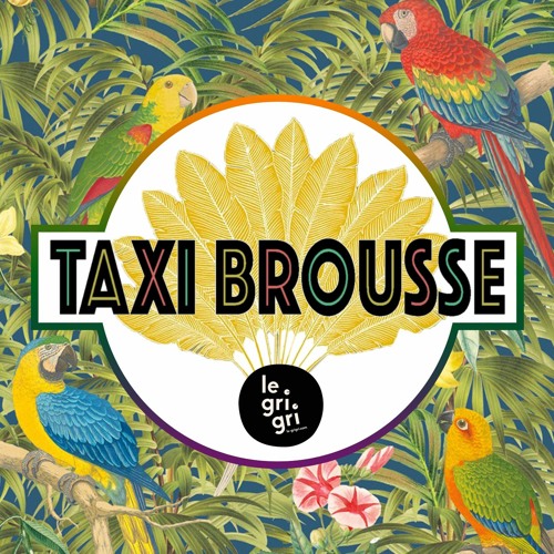 Patrice Rivet - Taxi Brousse #3