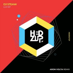 Premiere : DJ Steaw - Luv (HDZDGT27)