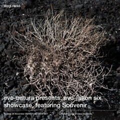 Stegi | evo-natura presents: evo-lation six (feat. Souvenir) ― 25th November 2025