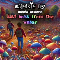 Swankie DJ Meets Cylazine - Just Boys From The Valley