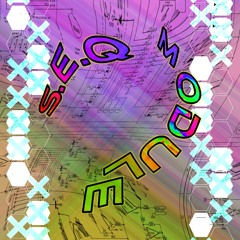 S.E.Q MODULE