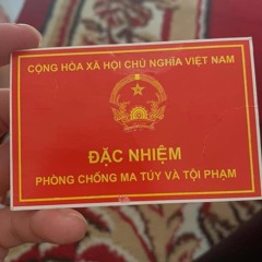 NST VIETMIX Trôi 3H 2025