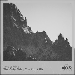Tryptamind - The Only Thing You Can't Fix