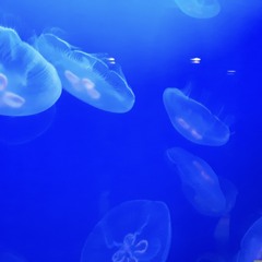 Isn't Easy to Let You Go