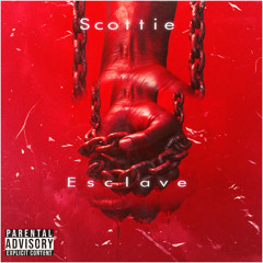 Scottie-Esclave
