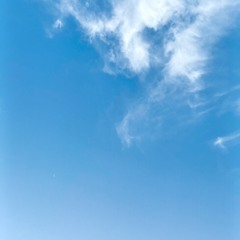 graceful abundance 2