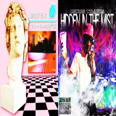 CHRIS TRAVIS - HIDDEN IN THE MIDST [VAPORHOUSE EDIT]