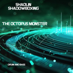 SHAOLIN SHADOWBOXING