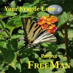 Your Fragile Love | Project Freeman Music Official Release