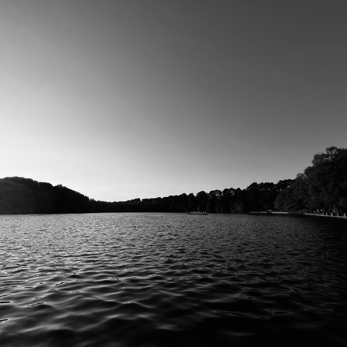 a solitary figure