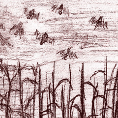 clay birds - untitled demo 2