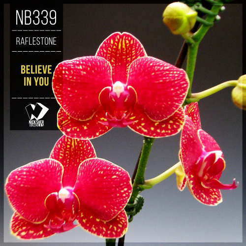 RafleSTone - Believe in You (Chilout Mix)