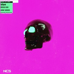 Icehunt - Back To Time (with Broad Run, Arnie Woods & Ethan Heckard) [NCS Release]