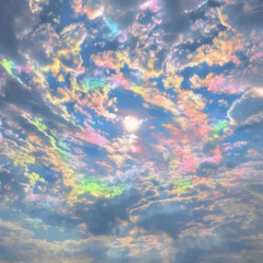 wont fold prod nyli lb66