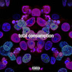 TOTAL CONSUMPTION (MIXED BY TOMMY CHRONIC)