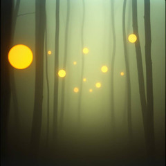The Resonant Path
