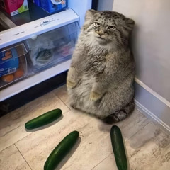 7 19
