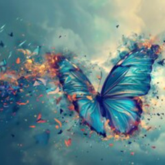 Oh Butterfly