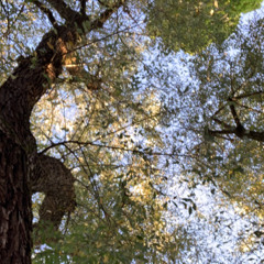 memory (prod. Capsctrl)