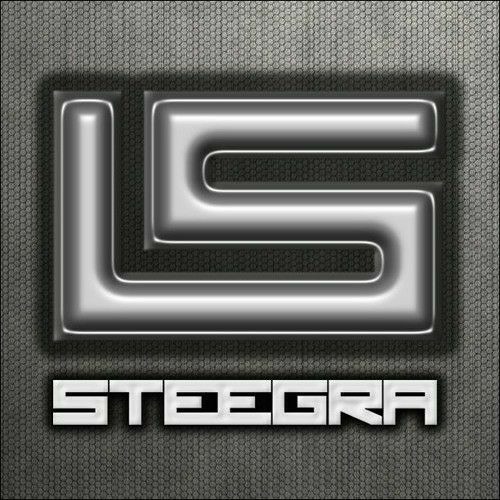 Passenger - Let Her Go (Steegra Remix)