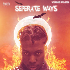 Virus Files - Seperate Ways (Available Everywhere)