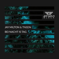 Jay Milton & TNSDN - Bei Nacht is Tag