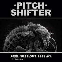 PITCHSHIFTER - Gritter