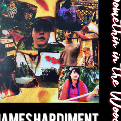 Somethin in the Woods