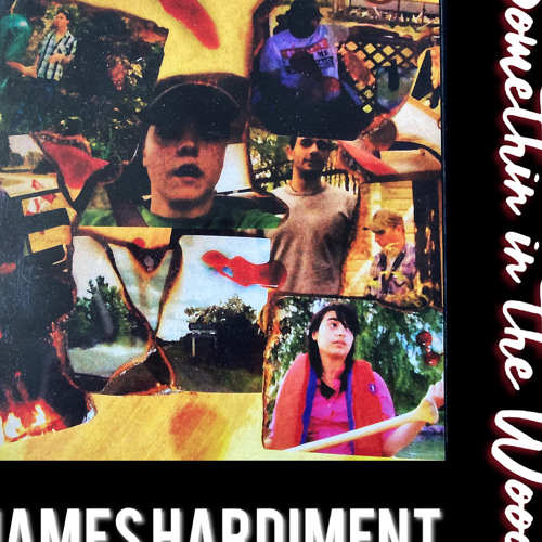 Somethin in the Woods