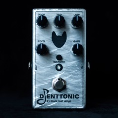 Korn - H@rd3R guitar cover using DJENTTONIC pedal