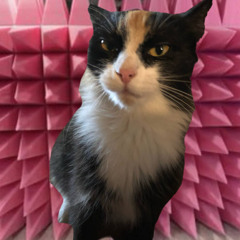 фейкминк но на фоне скулят собаки