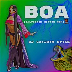 MEGAN THEE STALLION- BOA (GALVESTON HOTTIE MIX) x DJ CAYJUYN SPYCE
