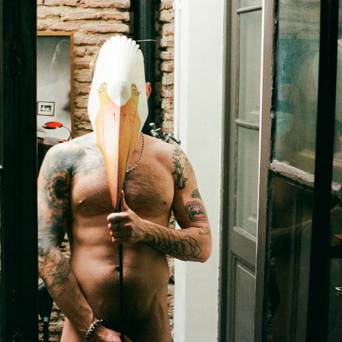 Sasha & the Bear - Humanly small