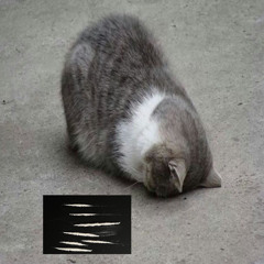 faceplant