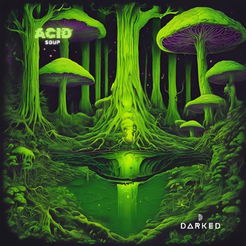 ACID SOUP - DARKED