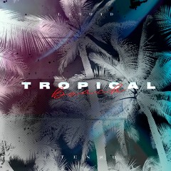 Tropical Beach w/ L19U1D